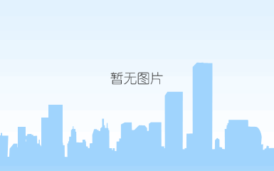 浏览更多